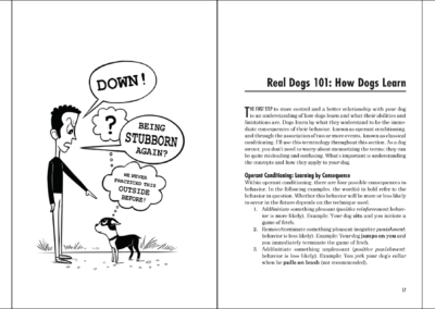 The Misunderstood Dog by Jordan Rothman